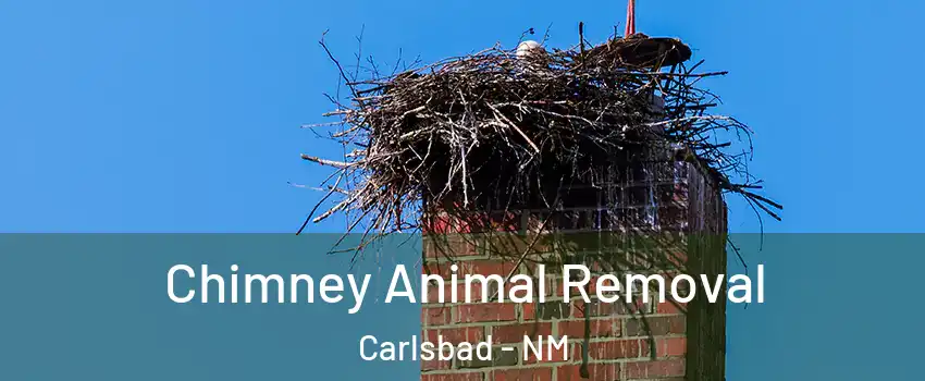 Chimney Animal Removal Carlsbad - NM
