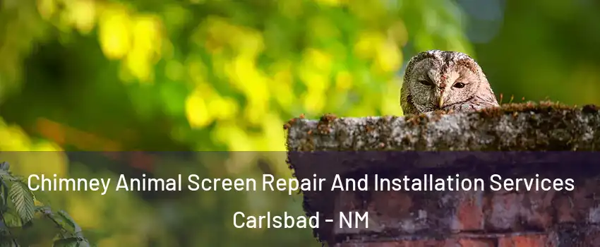  Chimney Animal Screen Repair And Installation Services Carlsbad - NM