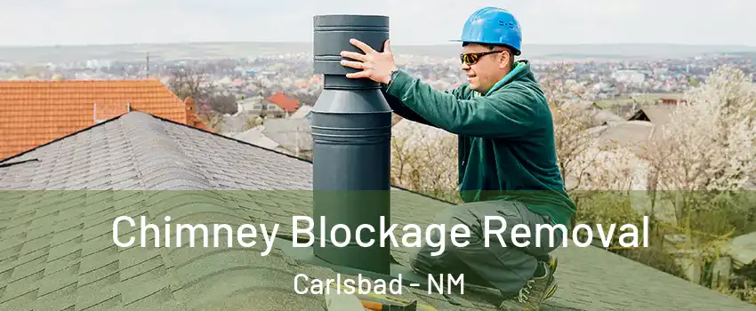  Chimney Blockage Removal Carlsbad - NM