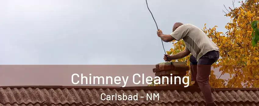  Chimney Cleaning Carlsbad - NM