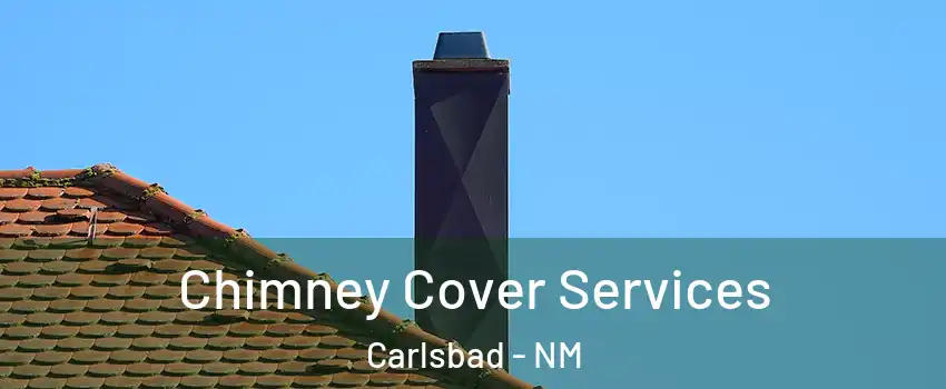  Chimney Cover Services Carlsbad - NM