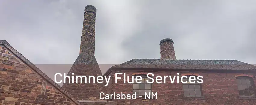  Chimney Flue Services Carlsbad - NM