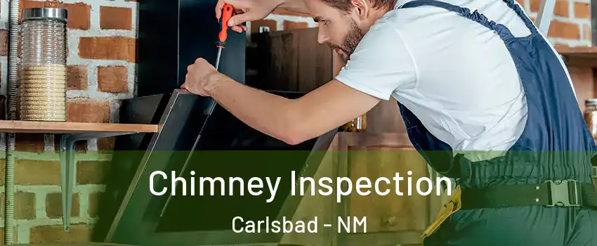  Chimney Inspection Carlsbad - NM