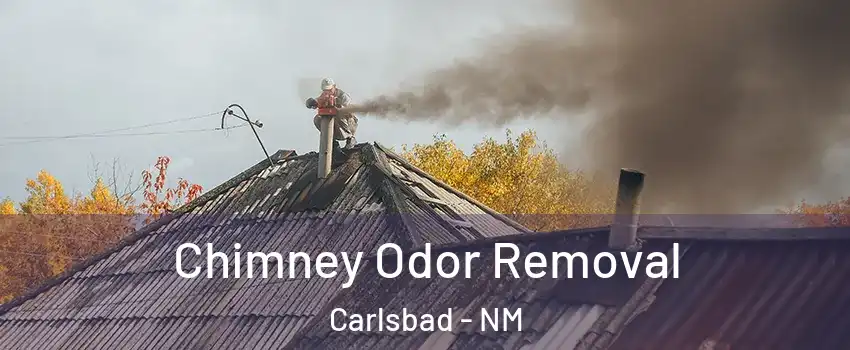  Chimney Odor Removal Carlsbad - NM