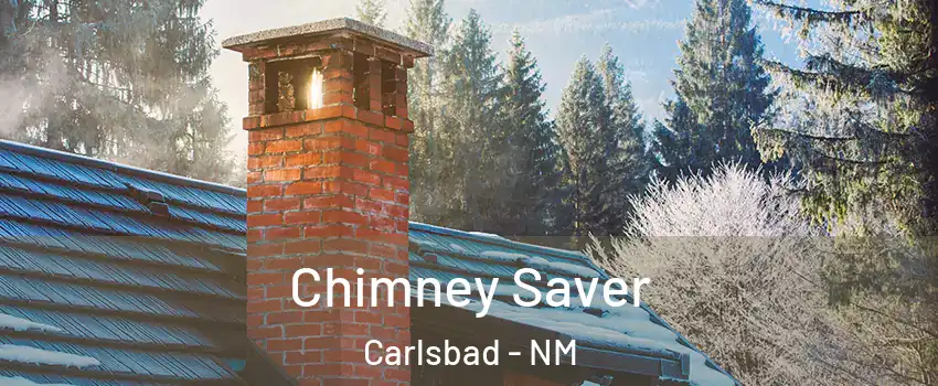  Chimney Saver Carlsbad - NM