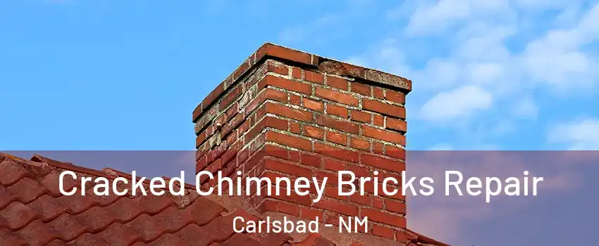  Cracked Chimney Bricks Repair Carlsbad - NM