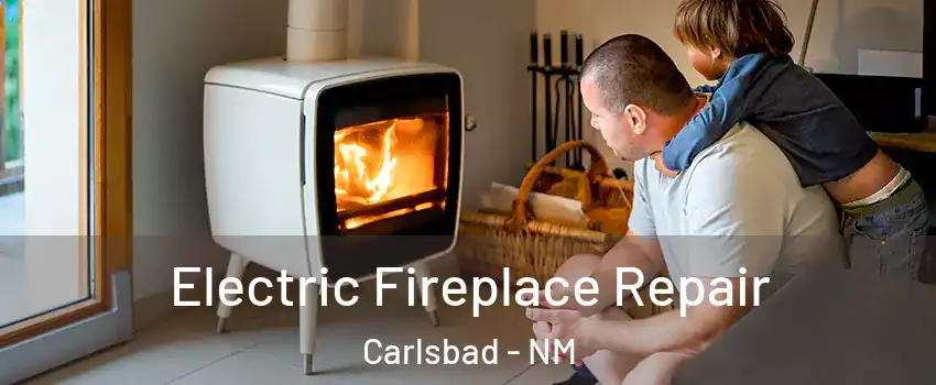  Electric Fireplace Repair Carlsbad - NM