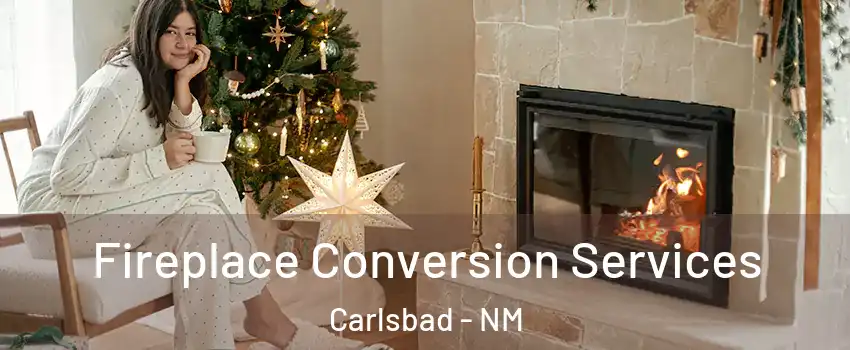  Fireplace Conversion Services Carlsbad - NM