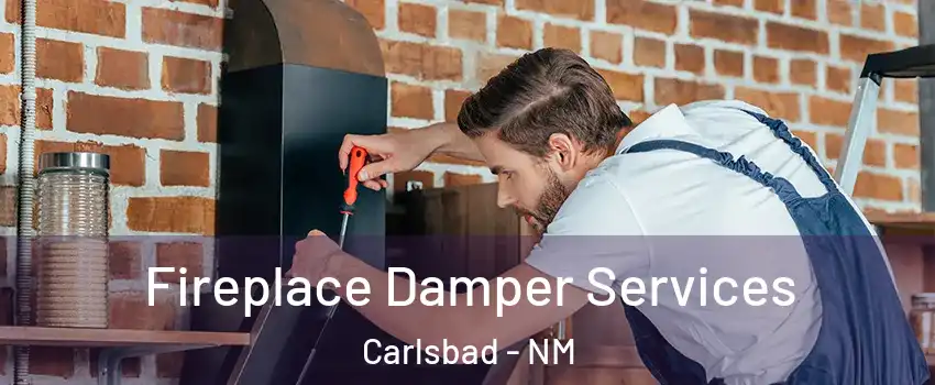  Fireplace Damper Services Carlsbad - NM