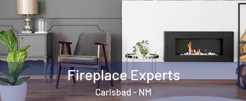  Fireplace Experts Carlsbad - NM