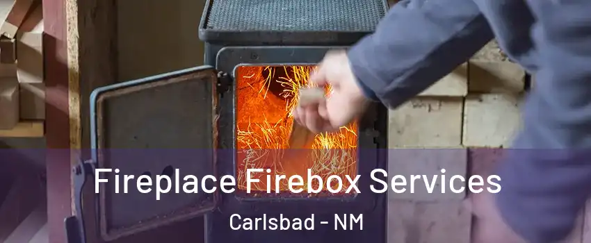  Fireplace Firebox Services Carlsbad - NM