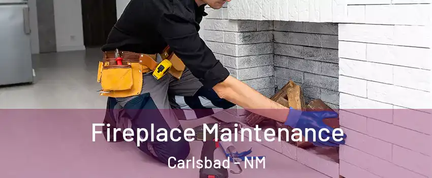  Fireplace Maintenance Carlsbad - NM
