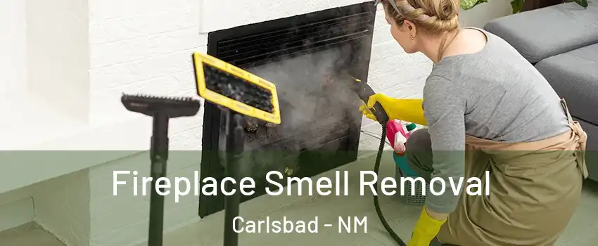  Fireplace Smell Removal Carlsbad - NM