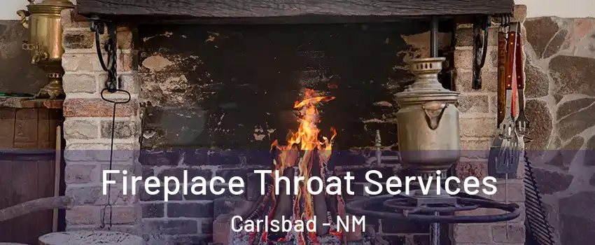  Fireplace Throat Services Carlsbad - NM