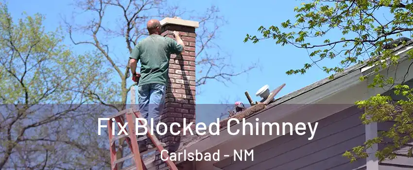  Fix Blocked Chimney Carlsbad - NM
