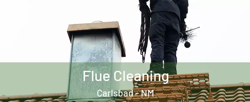  Flue Cleaning Carlsbad - NM
