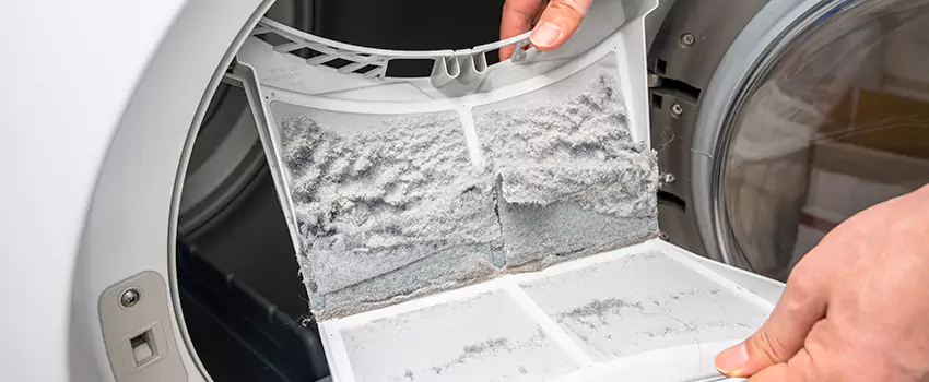 Best Dryer Lint Removal Company in Carlsbad, New Mexico