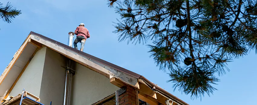 Birds Removal Contractors from Chimney in Carlsbad, NM