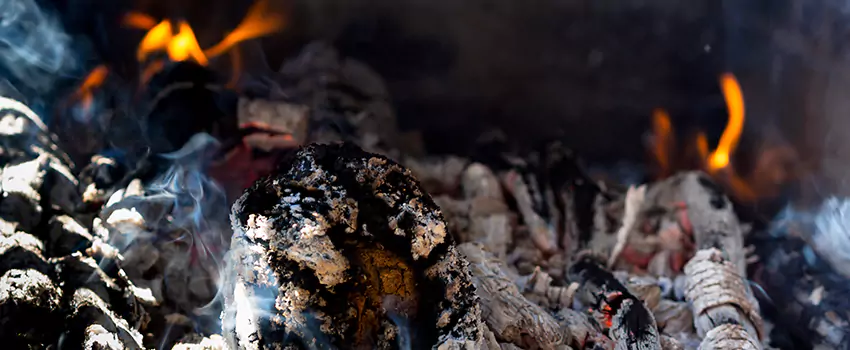 Creosote Removal Experts in Carlsbad, NM
