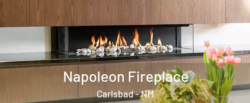 Napoleon Fireplace Carlsbad - NM