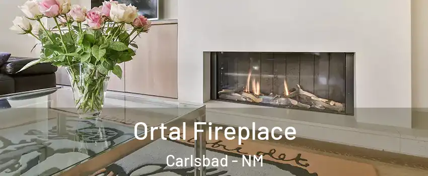 Ortal Fireplace Carlsbad - NM