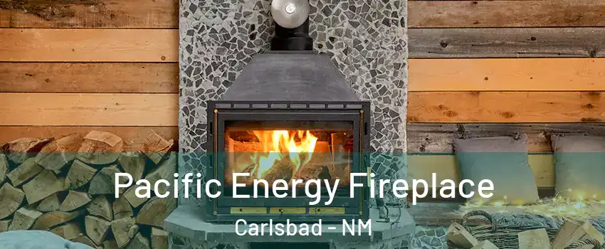  Pacific Energy Fireplace Carlsbad - NM